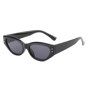 Vintage Cat Eye Sunglasses Retro PC Frame AC Lens UV400 Protection Metal Rivets Fashion Small Frame Eyewear Unisex