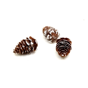 Close-up of three decorative brown pine cones with white snow effect for Christmas decor