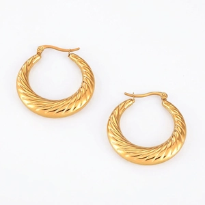 Twisted Rope Hoop Earrings Titanium Steel Geometric Thick Gold Silver Plated Retro Style Jewelry For Women