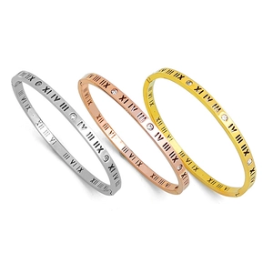 Polished titanium steel roman numeral bangles with crystals in silver gold rose gold