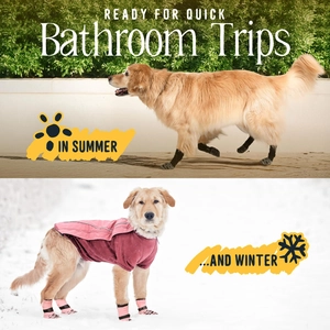 Waterproof non-slip dog boots and vest set for all seasons in summer grass and winter snow