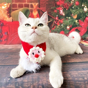 Detail of red knit pet Christmas scarf with Santa Claus motif on a domestic cat