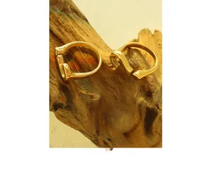 Detailed view of two polished 18K gold-plated titanium steel rings on rustic wood