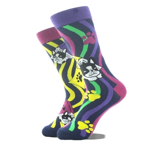 Vue détaillée de chaussettes en coton avec vagues arc-en-ciel et motifs de Boston Terrier