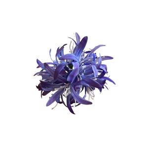 Pince à cheveux élégante avec fleur de lys araignée en tissu aux pétales dégradés