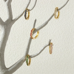 Detail view of colorful micro-set zircon gold hoop earrings on a display branch