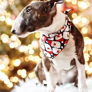 Christmas dog bandana with Santa pattern worn by a dog in festive holiday lighting