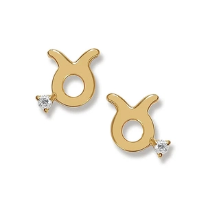 Close-up of S925 sterling silver Taurus zodiac stud earrings with sparkling crystals