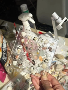 Detailed view of a 36-grid magnetic acrylic storage box containing mini seashell specimens
