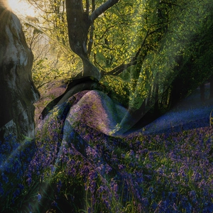Detailed view of bohemian forest tapestry fabric showing smooth drape and silk-like texture