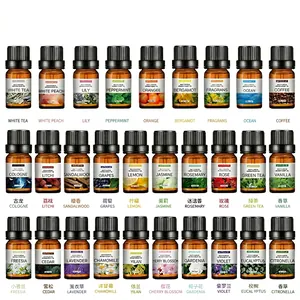 Set of 29 natural water-soluble essential oils in 10ml amber glass bottles for diffusers