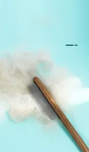 Dettaglio del pettine in legno per animali che rimuove i peli bianchi in eccesso