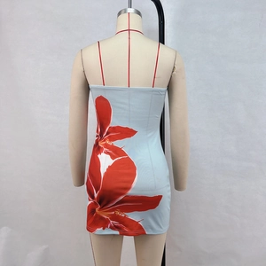 Détail de l'imprimé floral rouge sur robe courte moulante bleu clair montrant le dos