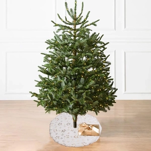Close-up of white Christmas tree skirt with gold stars and decorative gift box