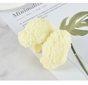 Detailed macro view showing realistic cauliflower model texture and grainy surface pattern