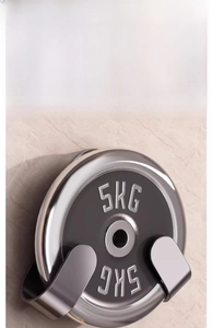 Detail showing the 5KG heavy-duty load capacity of this stainless steel wall rack