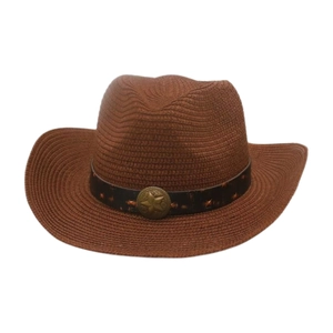 Vue rapprochée d'un chapeau de cowboy rétro en paille tressée avec bande étoilée en métal