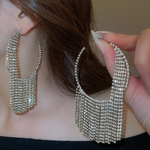 Detail shot of sparkling silver tassel hoop earrings with rhinestones on a female model