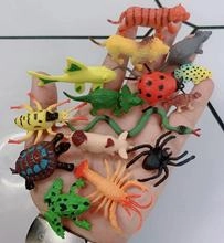 Macro shot of assorted mini plastic animal figures including lions and tigers in hand