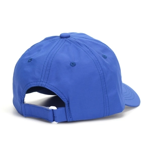 Rear view of royal blue children's dinosaur baseball cap with adjustable strap and buckle