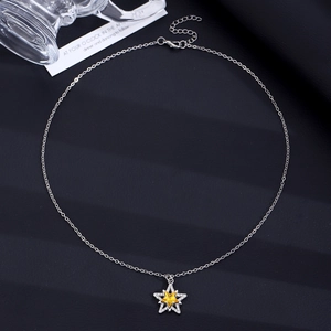 Detalle del collar plateado con colgante de estrella e incrustación de circón brillante