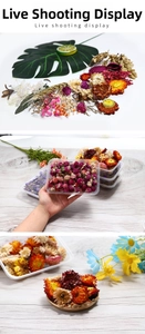 Detailed view of dried flower set including amaranth and strawflowers for DIY projects
