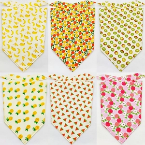 Set of 6 cotton fruit print pet bandanas with banana, kiwi and watermelon patterns