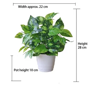 Detail showing dimensions of artificial pothos plant in white pot 28cm tall and 22cm wide