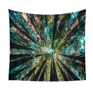 Bohemian forest tapestry showing redwood tree canopy view with blue sky and green leaves
