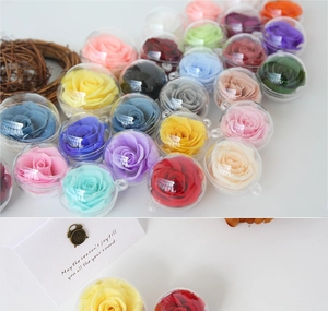 Macro detail of assorted preserved flower balls in clear acrylic keychain pendants