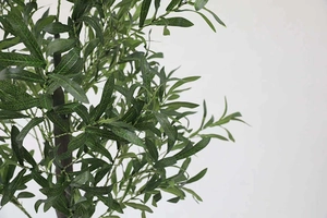 Detailed view of realistic green olive leaves and lifelike branches of the LED tree lamp