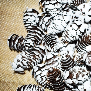 Rustic snow-tipped natural pine cones on burlap for DIY Christmas tree decoration