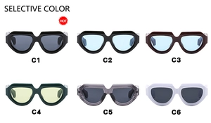 Irregular retro sunglasses available in multiple fashionable color options C1 to C6