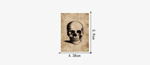 Detailed dimension view of a vintage skull anatomy sticker measuring 5.9cm by 4.38cm