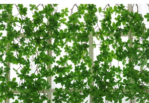 Dense artificial green leaves climbing on a white grid wall for home wall decoration