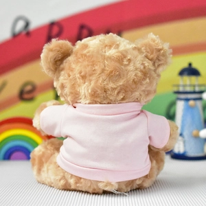 Back view of a cute plush teddy bear wearing a pink t-shirt on rainbow background