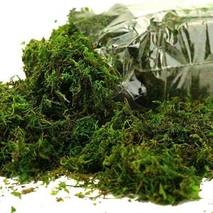 Vista macro di muschio verde naturale che fuoriesce dalla confezione trasparente