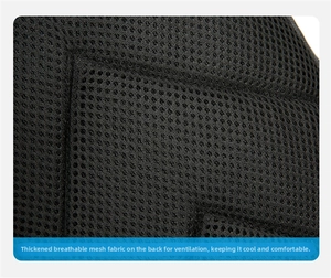 Detailed macro view of the thick breathable mesh back padding for airflow and comfort