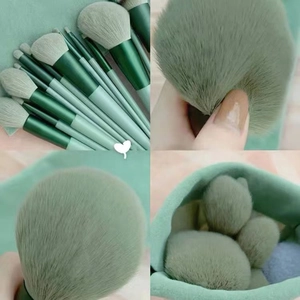 13-piece soft green makeup brush set with foundation and eyeshadow brushes in a pouch
