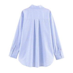 Back view of blue and white plaid long sleeve V-neck shirt with curved hem