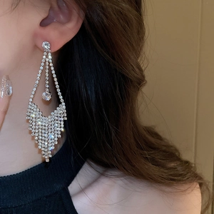 Macro side view of silver tassel earrings with sparkling white rhinestones on model