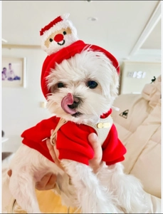 Detailaufnahme vom roten Fleece-Hundepullover mit gestrickter Weihnachtsmütze für Hunde