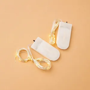 Dual pack warm white LED copper wire fairy lights with compact button battery box