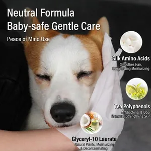 Gentle pet grooming wipes with silk amino acids cleaning a Corgi dog face in home