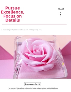 Macro detail of eternal pink rose jewelry box with clear protective acrylic cover