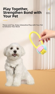 Dog fetching pink and blue woven rope knot ball toy during indoor playtime with owner