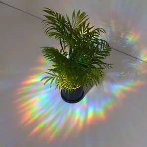 Rainbow prism light effect cast on green potted plant and white wall background