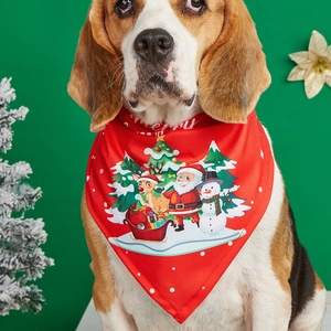 Christmas pet bandana with Merry print on dog model over a festive green background