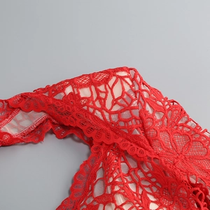 Détail de dentelle florale rouge avec bords festonnés et doublure en tulle