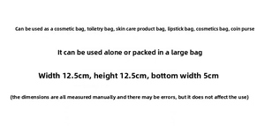 Size chart for mini mesh storage bag showing 12.5x12.5x5cm dimensions for cosmetic pouch